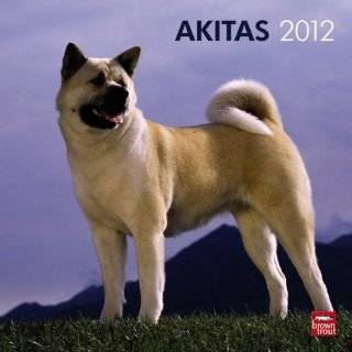  Rules In An Akitas House