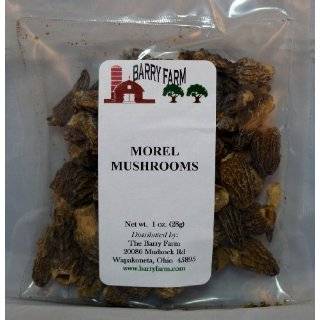 India Tree Morel Mushrooms, .35 Ounce Unit (Pack of 2)  