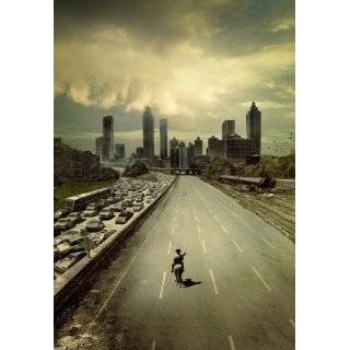  The Walking Dead (TV)   Movie Poster   11 x 17 Inch (28cm 