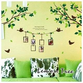   Sticker   Green Tree Branches with Flying Birds & Photo Frames Baby