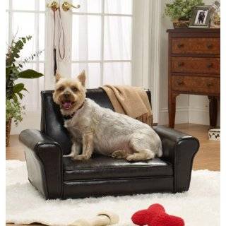  Black and Gold Gypsy Foam Pet Dog Chair