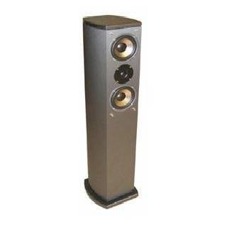   515FC, Champagne Finish Floor Standing Loud Speaker, Buy 1 get 1 free