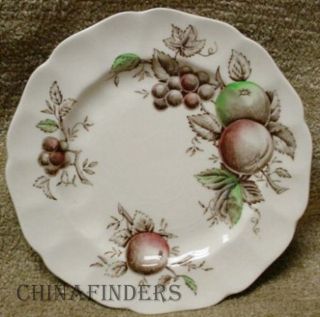 Johnson Brothers China Harvest Time Brown Multicolor Bread Plate