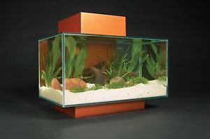 New Contemporary Glass Aquarium Kit 6 Gallon Fish Bowl Tank Light Filter Set