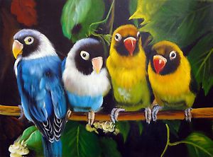 Parakeet Canaries Finch Parrot Macaw Cape Conures Love Bird Art Oil Painting