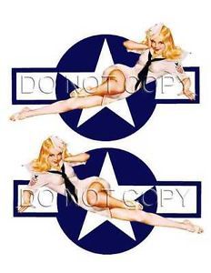 Stars Bars USAF US Air Force WWII Pin Up Girl Vinyl Decals 1090