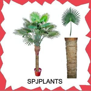 7 Foot Artificial Fan Palm Tree Potted Real Wood Trunk by Silk Plant Jungl