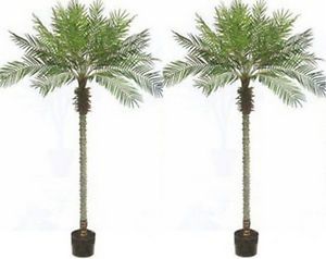 Two 8 Foot Artificial Phoenix Palm Trees Potted Plants Home Decor Arrangements