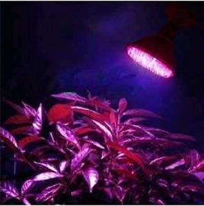 New Bright E26 E27 38 LED Red Blue Hydroponic Seed Plant Grow Light 110V Bulb