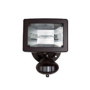 Motion Detector Security Light