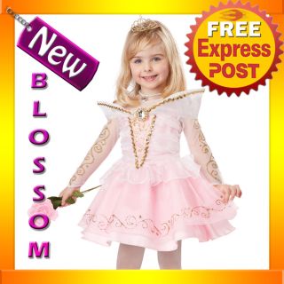 CK88 Sleeping Beauty Deluxe Toddler Fancy Dress Book Week Kids Halloween Costume