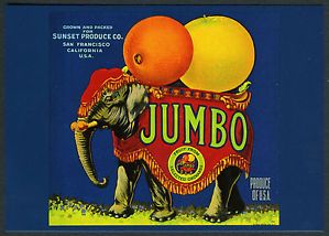 Jumbo Circus Elephant Historical Orange Fruit Crate Label Art New 1983 Postcard