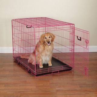 Crate Appeal Fashion Color Folding Dog Cage w Divider Value Pink Punch