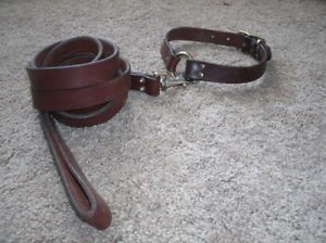 Beautiful Soft Latigo Leather Dog Leash and 20" Collar Large Dog