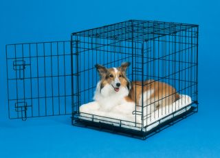 Midwest Quiet Time Fleece Dog Crate Bed 48" QT40248 New