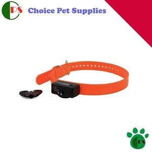 New SportDOG Standard Dog Bark Control Collar Choice Pet Supplies HELPS Train