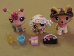 Littlest Pet Shop RARE Brown Collie 58 All Paws Down Dog Yellow Baby Kitten 47