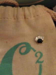 Origami Owl Authentic Dog Paw Charm for Living Locket