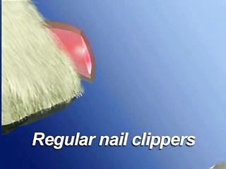 Pedipaws New Pet Nail Trimmer Brand New US Seller Set of 2 Dog Cat Nails