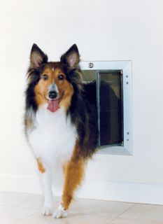 Plexidor Medium Door Unit Satin Dogs Up to 40 Lbs