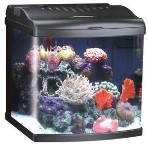 JBJ Nano Cube 24 Gallon All LED Deluxe Aquarium Fish Tank Nanocube