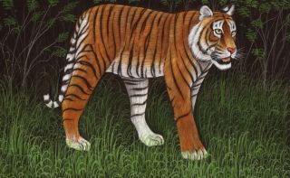 India Tiger Art Handmade Watercolor Miniature Wild Cat Animal Paper Painting