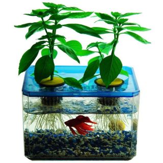 Jr Ponics Aquaponic Fish Garden System