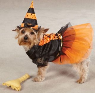 Casual Canine Witch Dog Halloween Costume XS XL