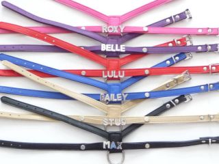 Personalized Dog Pet Harness Harnesses Up to 6 Letter