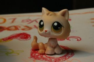 C4 Happy Littlest Pet Shop LPS 293 Cream Tan Persian Cat Kitten Hazel Eyes
