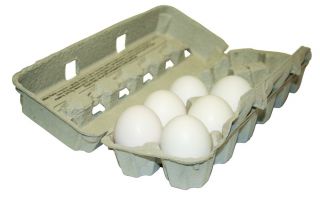 Clean New Egg Cartons Pkg of 10 Jeffers Livestock HAFE1