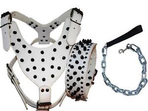 White Leather Dog Harness Collar Leash Set Black Spikes Husky Akita Bulldog USA