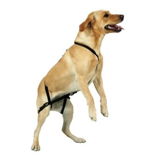 Guardian Gear No Jump Dog Harness Guaranteed for Life 20 70 Lbs