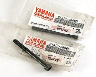 2 New Yamaha Oil Pump Cylinder Bolts XT225 XT350 YZ125 YZ450F FJR1300 VMX1200