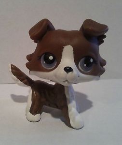 Littlest Pet Shop LPS RARE Chocolate Brown White Collie Dog Purple Eyes Puzzle