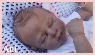 Andi Ani Linda Murray The Cradle Reborn Baby Girl Doll