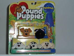 Vintage Pound Puppies Miniature Purebreds Scottish Terrier Golden Retriever