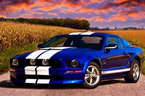 05 09 Mustang 67 GT RAM Air Functional Hood Body Kit