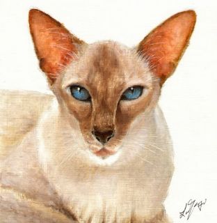 ★ Original Oil Cat Portrait Painting Siamese Art Artwork on Canvas Kitten