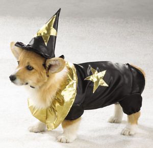 Large Dog Halloween Costume Wizard Poodle Springer Spaniel Pet Costume