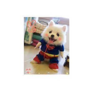 Pet Dog Clothes Costumes Superman Suit Size XS s M L XL