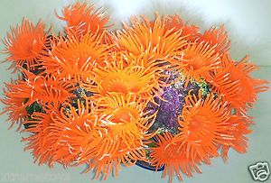 Beautiful Aquarium Fish Tank Silicone Sea Anemone Artificial Coral Ornament Deco