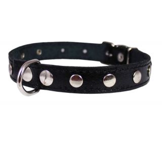 Real Leather Dog Collar Studded 13" 16" Neck Size Black Red Brown