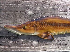 51" Lake Sturgeon Chainsaw Wood Carved Saltwater Fish Mount Wall Hanginig Art