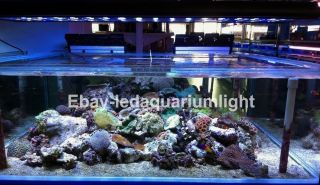 Programmable Timer LED Saltwater Aquarium Fish Tank Marine Coral Reef Grow Light