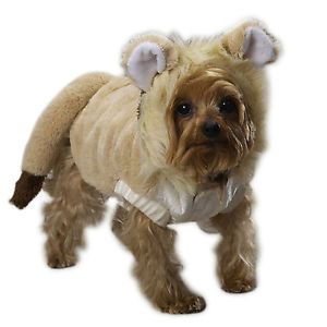 Lil' Lion Dog Costume x Small Toy Yorkie Poodle Halloween Costumes XS Clothes