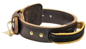 Large Dog Collar with Handle for Large Breeds Doubleply