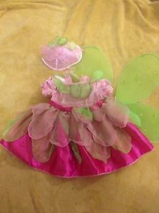 Watermelon Fairy Halloween Costume 3 6 Months Baby Girl Wings