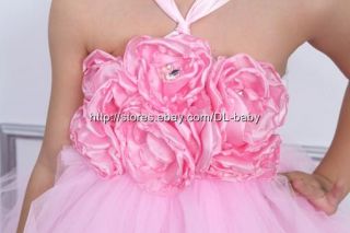 Pink Baby Toddler Children Girl Wedding Party Pageant Costume Tutu Dress 1 8Y