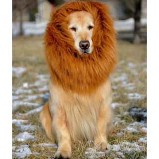 Large Pet Dog Cat Lion Wigs Mane Hair Festival Party Fancy Dress Clothes Costume